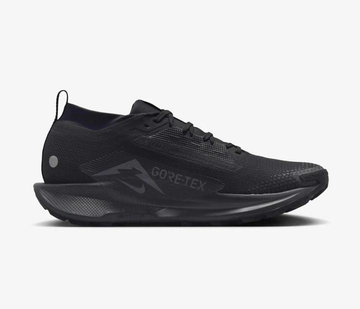 Image du produit Nike Pegasus Trail 5 GORE-TEX (41)