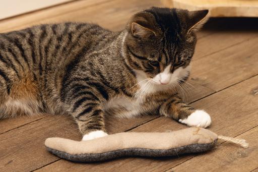 Immagine prodotto Beeztees Minus One Cat Toy Snake (Giocattolo tiragraffi per gatti)