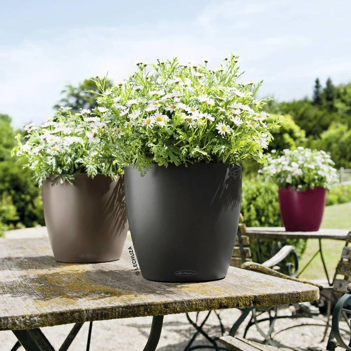 Produktbild Lechuza Classico Color (27.50 x 26 cm)