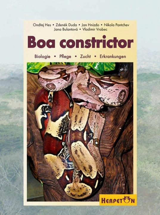 Boa constrictor (Tedesco, Jana Bulantová, Jana Duda, Ondrej Hes, Nikola Pantchev, Zdenek Vrabec, 2007)