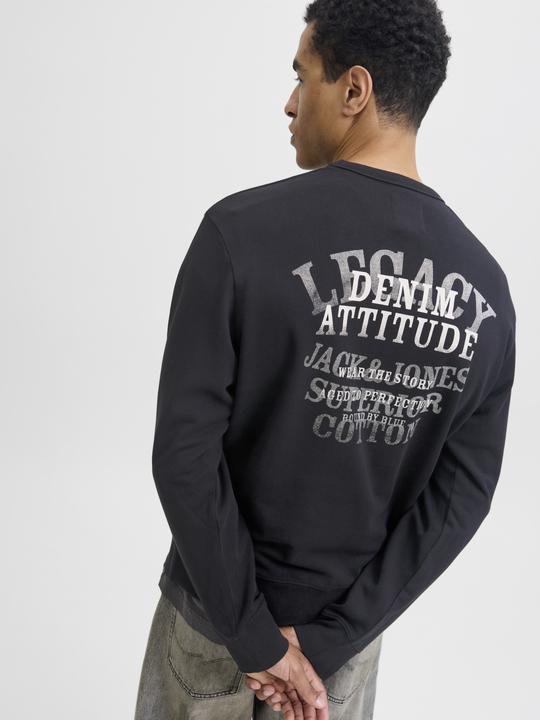 Produktbild Jack & Jones Jjedetroit Sweat Crew Neck Styd Aw25 (S)