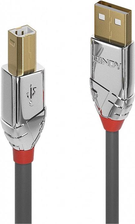 Actual product image Lindy USB A — USB B (0.50 m, USB 2.0)