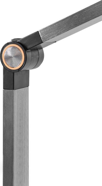 Image du produit Beliani Caroy (490 lm)