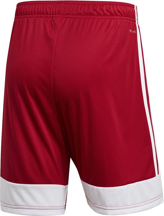 Actual product image Adidas Tastigo 19 Shorts (M)