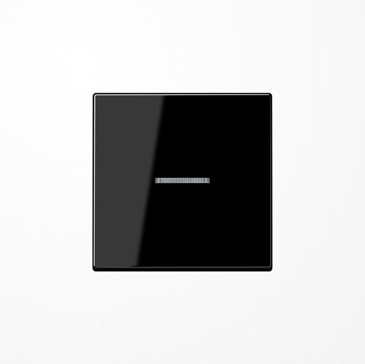 Actual product image JUNG Control rocker switch A bw glz A590BFKO5SW