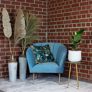 Immagine prodotto Flowerbox Set di 3 alberi della gomma - Ficus elastica "Robusta (50 cm)