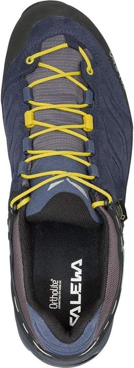 Produktbild Salewa MTN Trainer GTX Shoes (42)