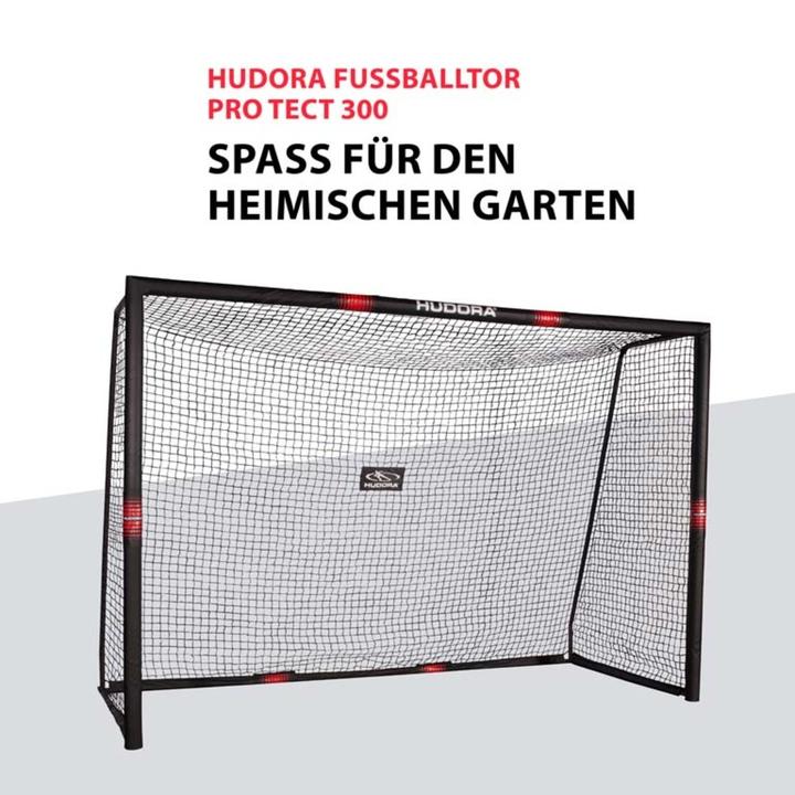Image du produit Hudora But de football Pro Tect 300