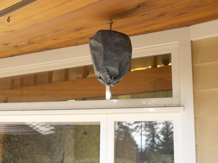 Produktbild Colibri Waspinator