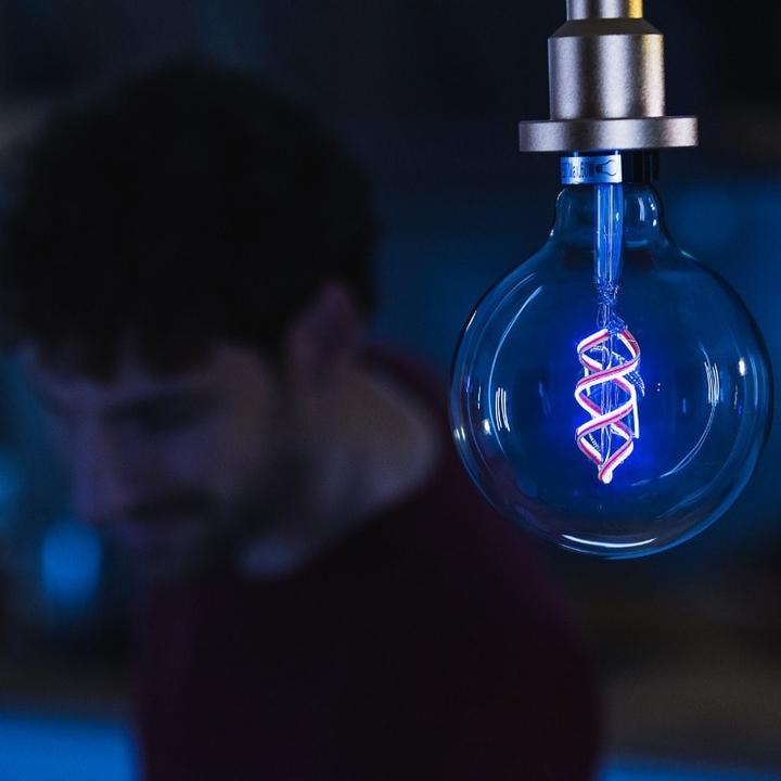 Actual product image Ledvance Smart+ Wifi Filament Globe Rgbw (E27, 300 lm, 1 x)