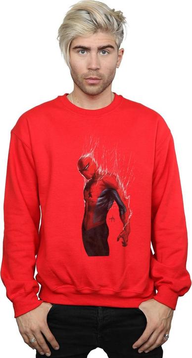 Produktbild SpiderMan Web Wrap Sweatshirt (L)