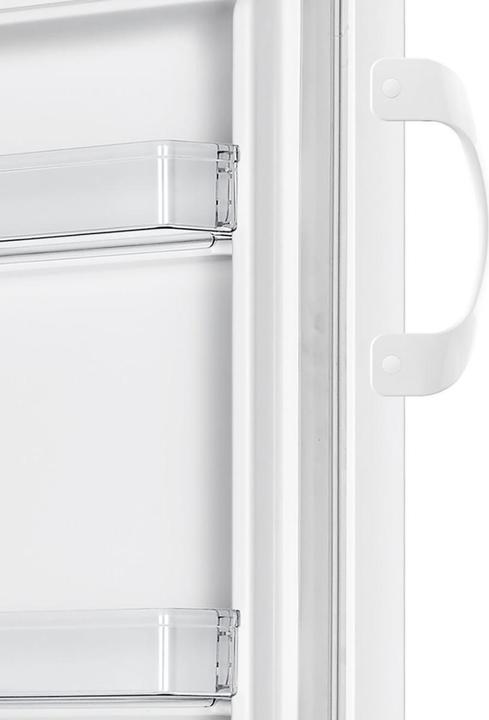 Actual product image Gorenje R4142PW (242 l)