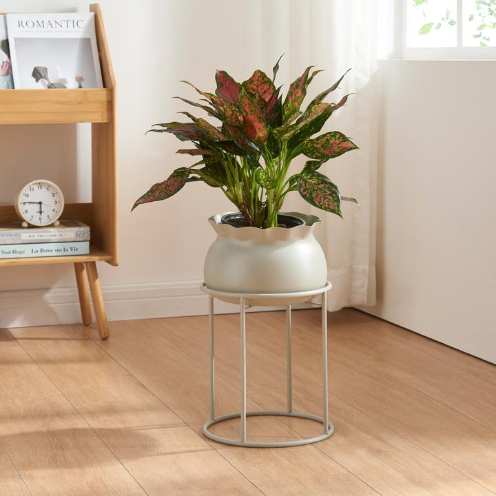 Image du produit En.Casa Assen