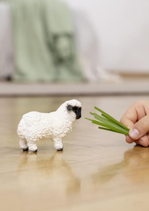 Image du produit Schleich Mouton nez noir du Valais