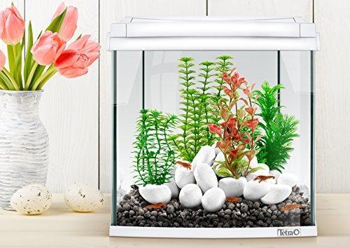 Produktbild Tetramin DecoArt plant L Hygrophila (Pflanzen)