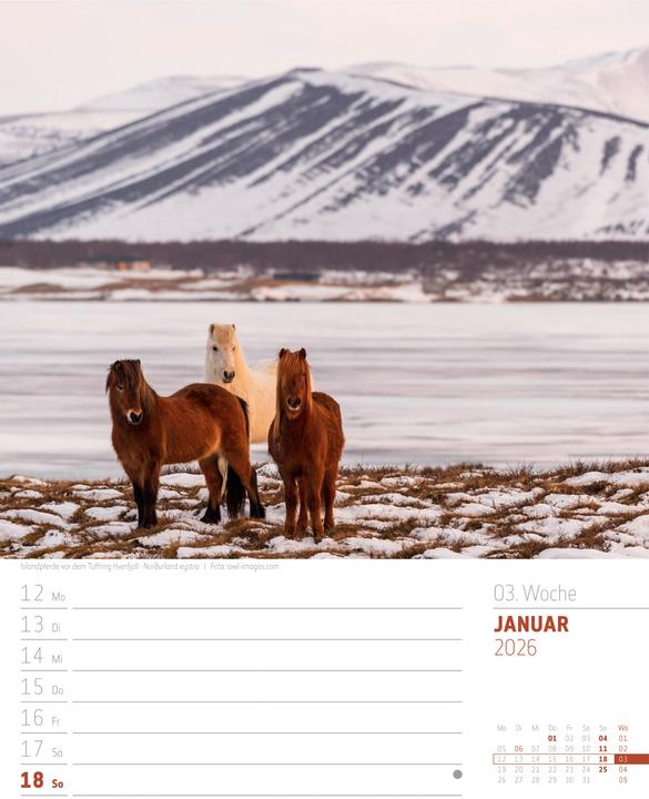 Immagine prodotto Island - Die Insel aus Feuer und Eis - Wochenplaner Kalender 2026 (25 x 33 cm)