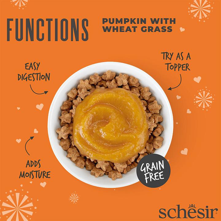 Actual product image Schesir Functions Digestive Topper, pumpkin with wheatgrass, 40g (Adult, 1 pcs., 40 g)