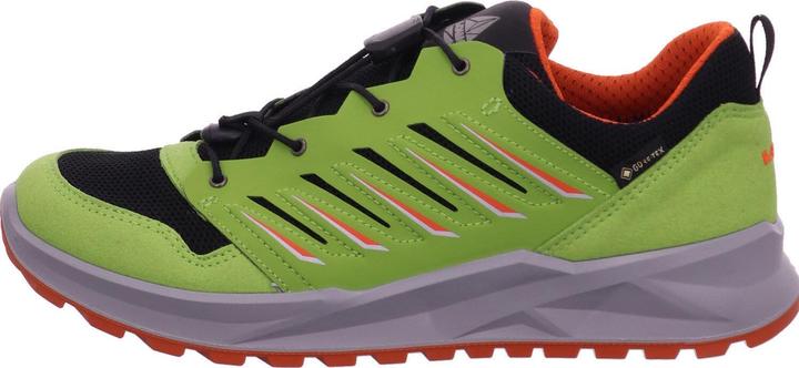 Actual product image Lowa Axos GTX Lo Junior (38)