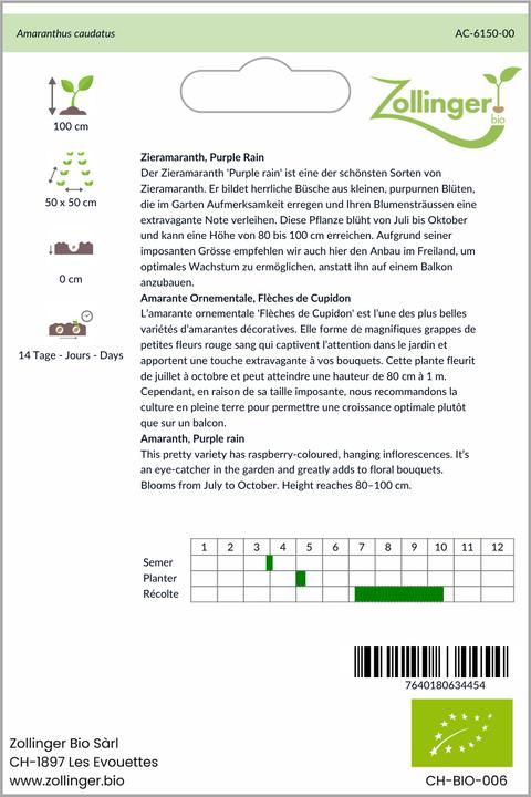 Image du produit Zollinger Bio Camarante décorative, Purple Rain
