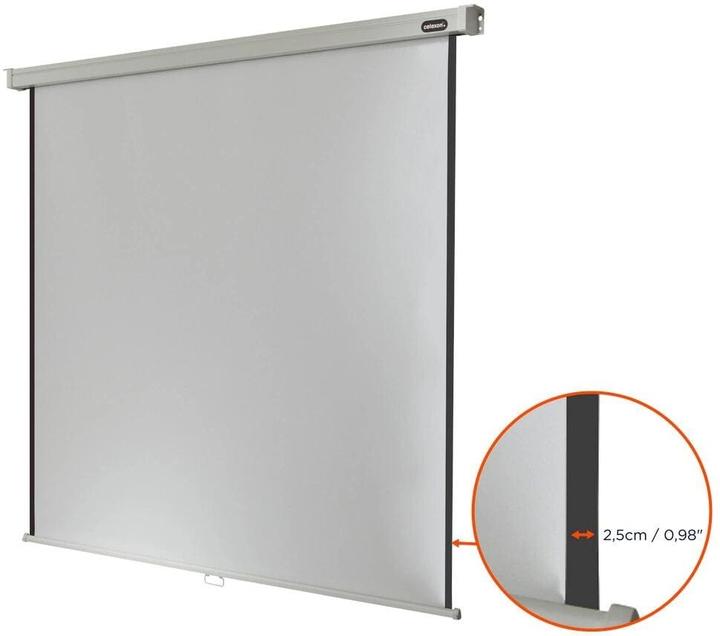 Actual product image Celexon Rollo Professional (100", 1:1)