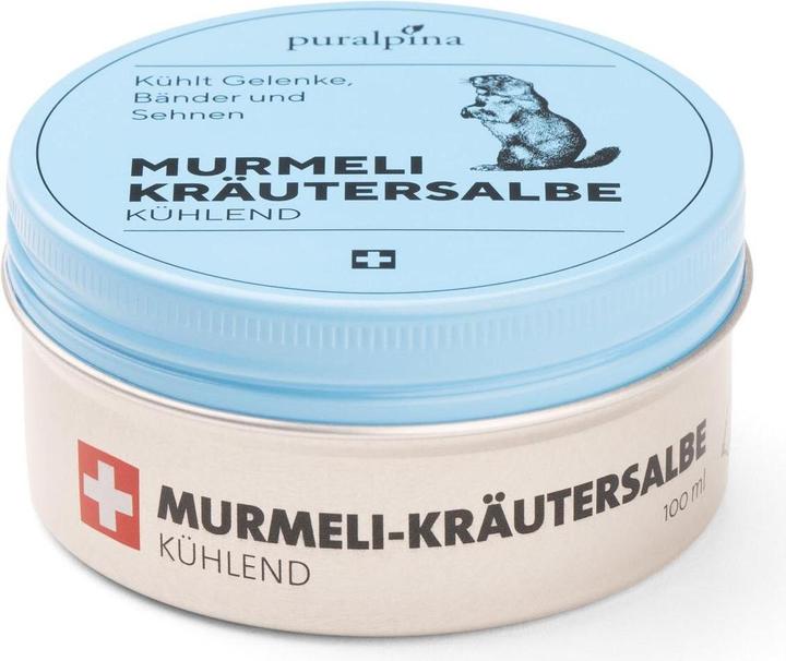 Image du produit Puralpina Pommade aux herbes Murmeli (1 x, 100 ml, 100 g)