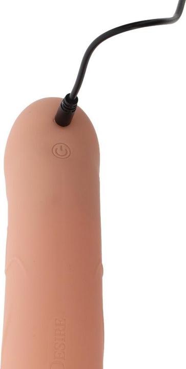Image du produit Hidden Desire Hollow Penis Strapon Vibrating 20cm