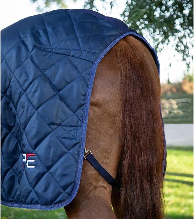Immagine prodotto Premier Equine Tuscan 200 g (168 cm)
