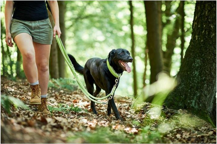 Produktbild Hunter Verstellbare Führleine Hilo (M, Hund, Hundesport)