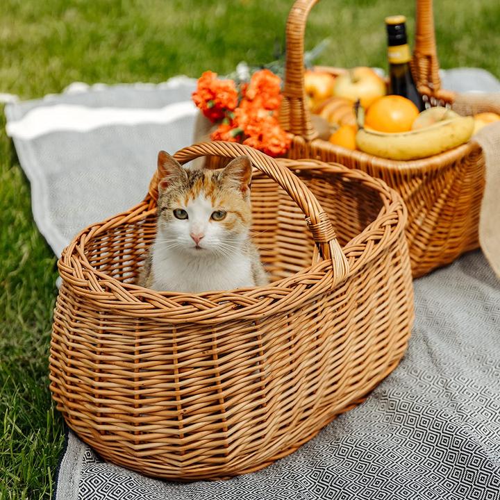 Actual product image Creative Home Picnic Basket Wicker Basket, 45x32 H-24/34