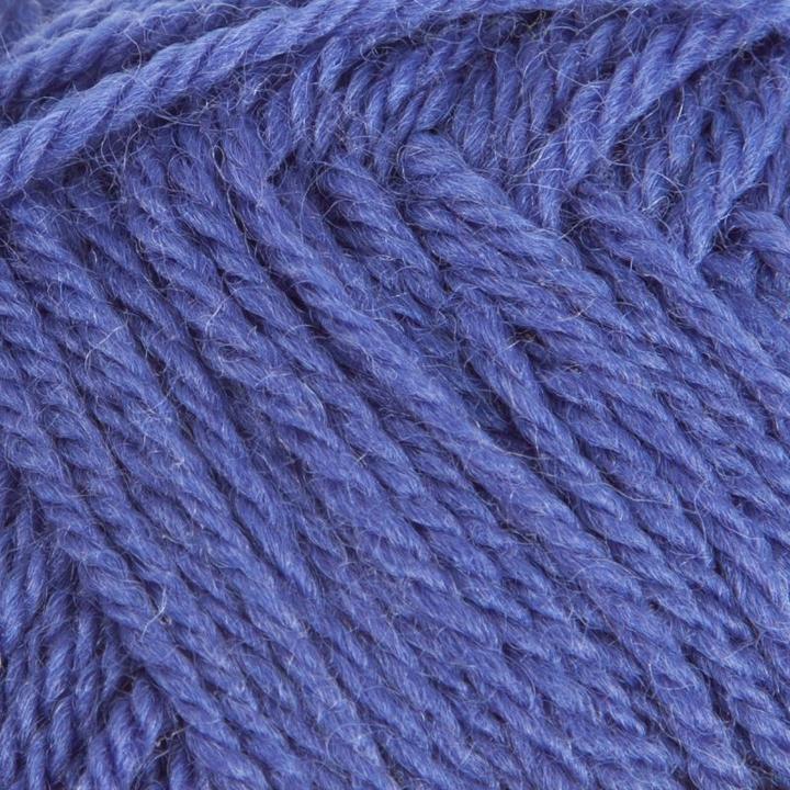 col. 1213 blue iris