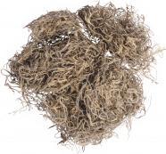 Image du produit Rayher Mousse de jungle nature 20g