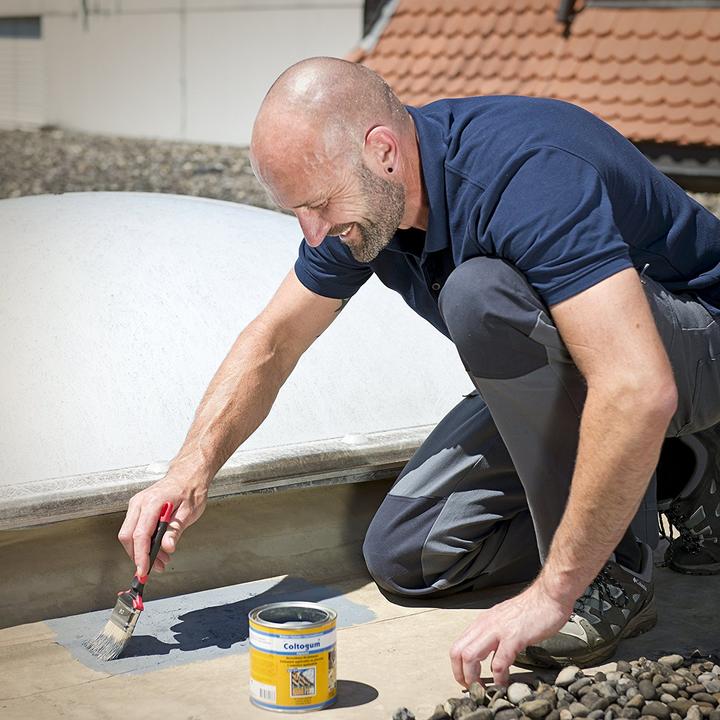 Image du produit Coltogum Mastic d'étanchéité à peindre (Gris)