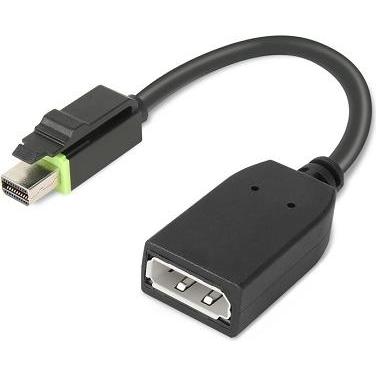 Lenovo DisplayPort-Adapter (DP, 13 cm), Data + Video Adapter, Schwarz