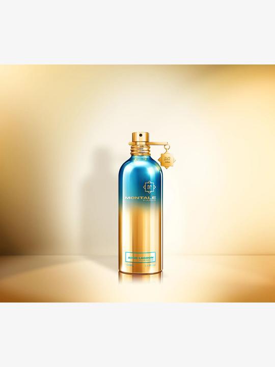 Actual product image Montale Aoud Lagoon (Eau de parfum, 100 ml)