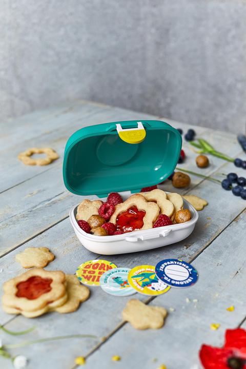 Actual product image Monbento Dino