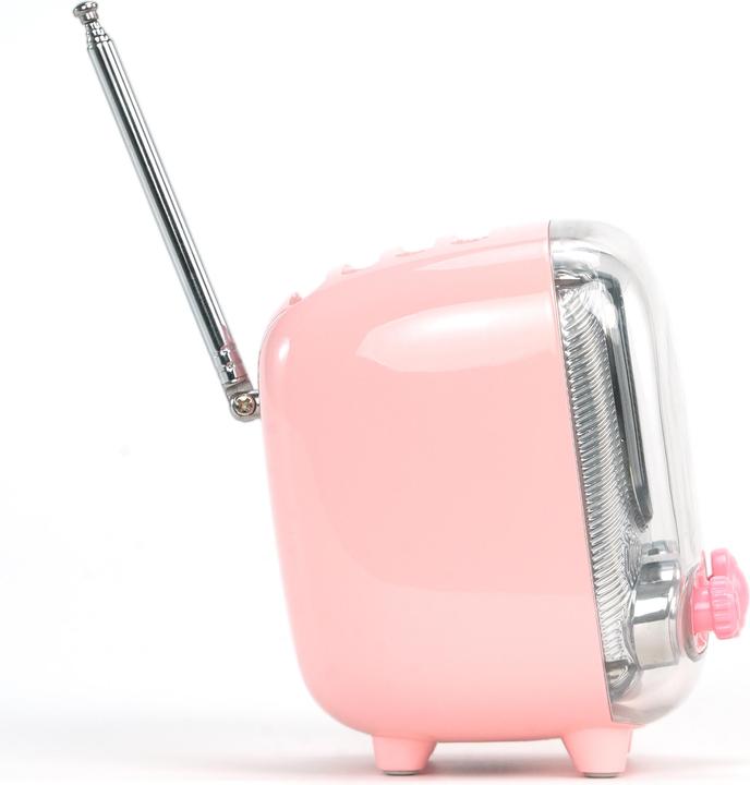 Actual product image Divoom Tiivoo-2 pink