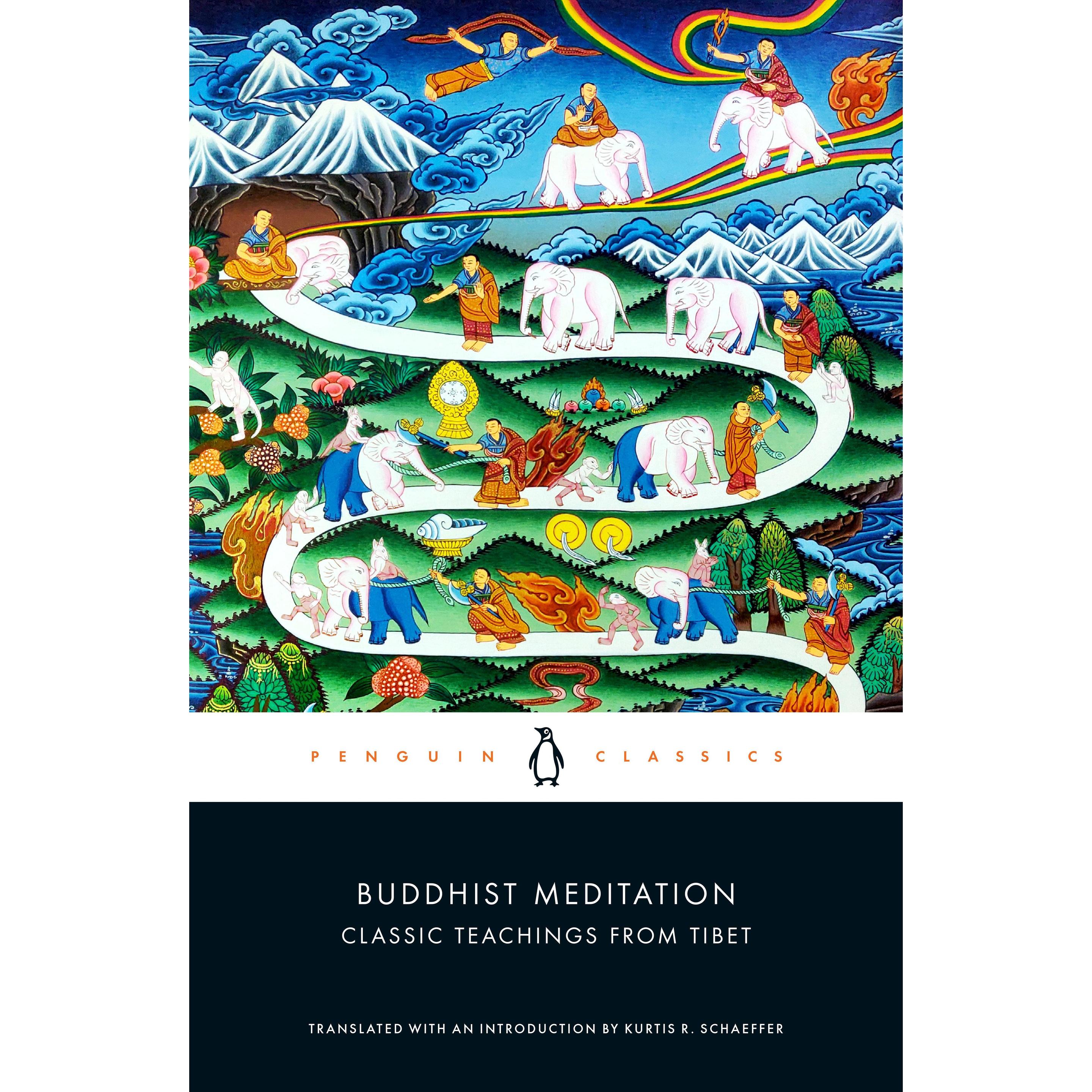 Buddhist Meditation, Fachbücher von Kurtis R. Schaeffer