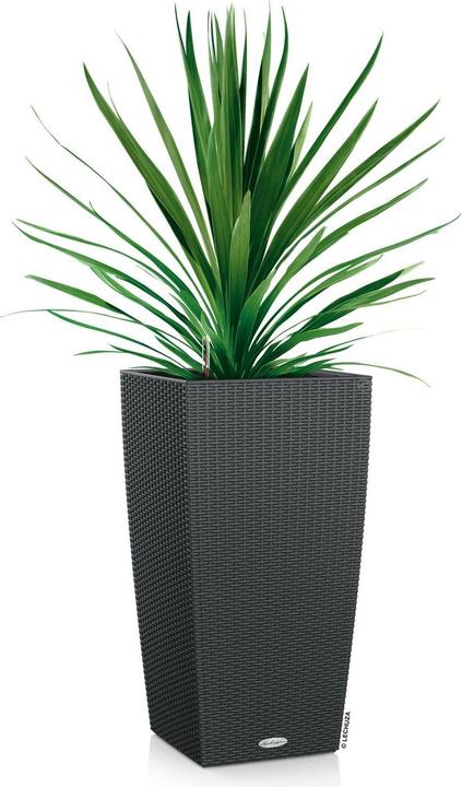Actual product image Lechuza Cubico Cottage (39.50 cm)