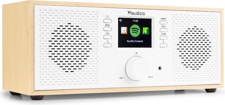 Actual product image Audizio Rimini (Internet radio, Bluetooth)