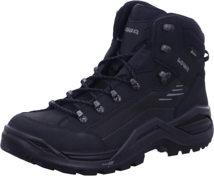 Actual product image Lowa Renegade Evo Gtx Mid (42)