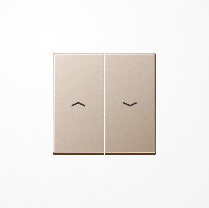 Actual product image JUNG A 595 P CH