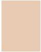 Actual product image Dermacol Cover Xtreme (0 (208))