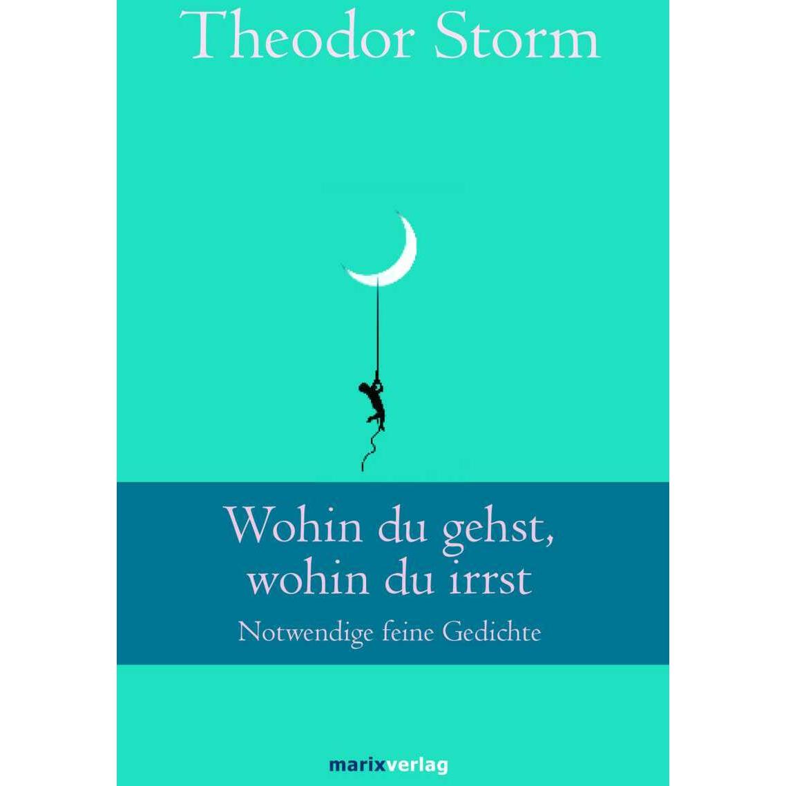 Wohin du gehst, wohin du irrst, Belletristik von Theodor Storm