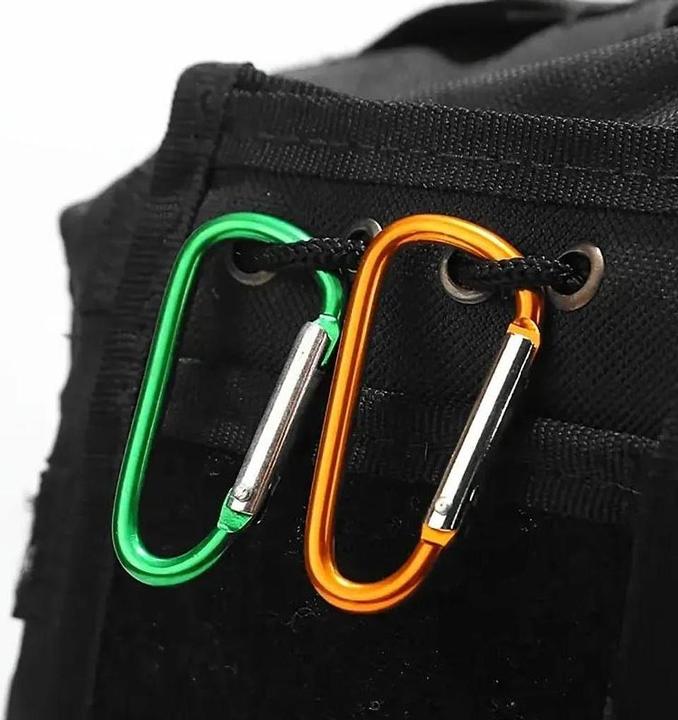 Champ Carabiner key fob