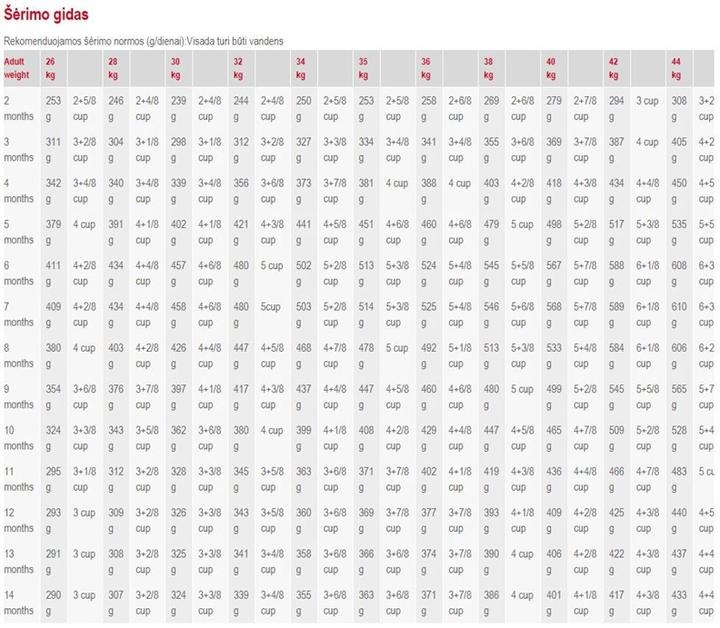 Image du produit Royal Canin Maxi Junior (Junior, 1 pcs, 4000 g)