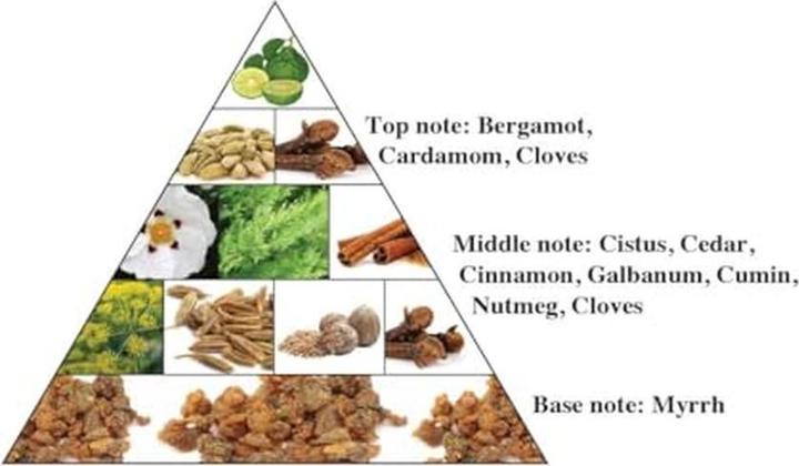 Produktbild Al Haramain Portfolio Oriental Forest EDP spray 75ml (Eau de Parfum, 75 ml)