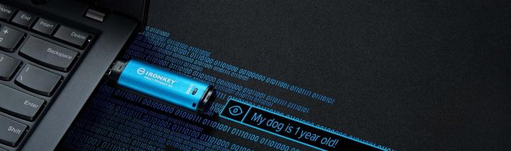 Actual product image Kingston IronKey Vault Privacy 50 (128 GB, USB-A)