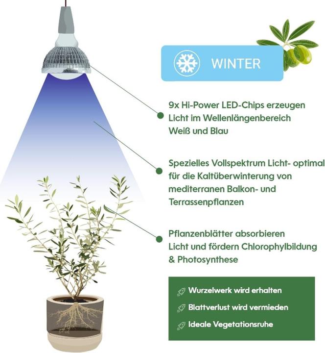 Produktbild Venso Grow Light Winter (LED)