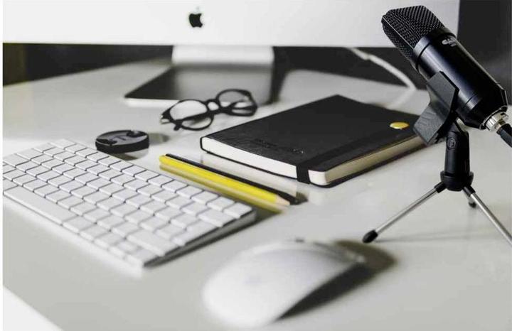 Actual product image CAD Voice Microphone U29 USB Mic