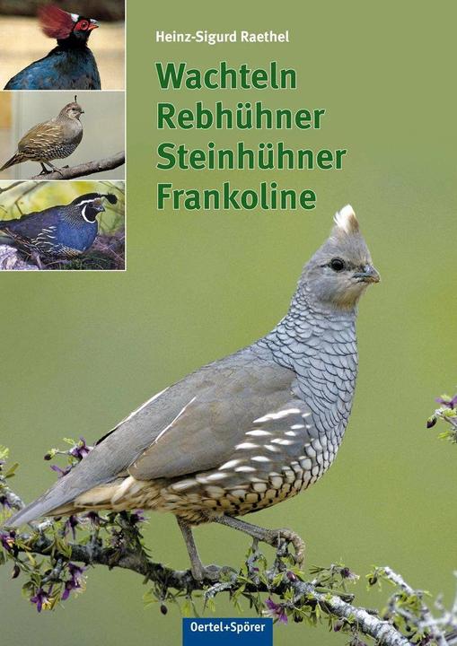 Produktbild Wachteln, Rebhühner, Steinhühner, Frankoline (Deutsch, Heinz-Sigurd Raethel, 2013)